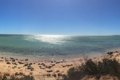 Gregories Francois Peron