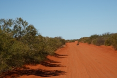 Emu Roadblock Francois Peron