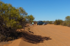 Werner to the Rescue