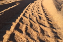 Spuren im Sand