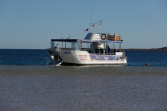 Glasbodenboot Coral Bay