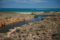Yardie Creek und Ningaloo Riff