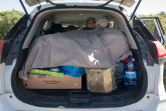 Schritt 4 - Igel Tarnung