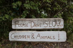 Is there any difference?