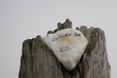 Da war wohl jemand aus der Heimat hier