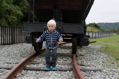 Mama, ich bin ein Pferd