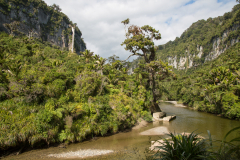Pororari River Track