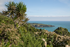 Westküste - ein Traum