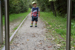 Carming Creek Walkway