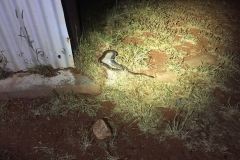 Mein Schlafpartner für die Nacht