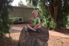 Nanutarra Roadhouse - König Henry